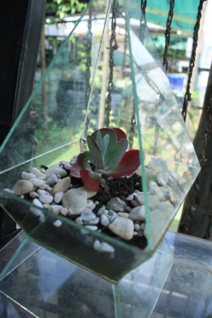 Rivers Edge Garden Centre
